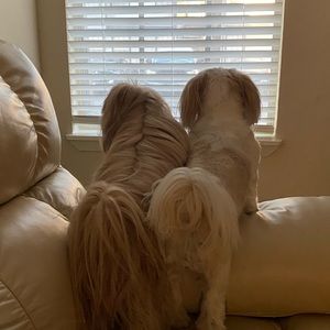 Meet your Posher, Jodie